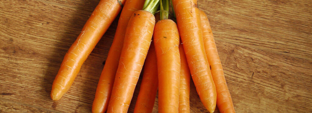 the diet for healthy eyes
